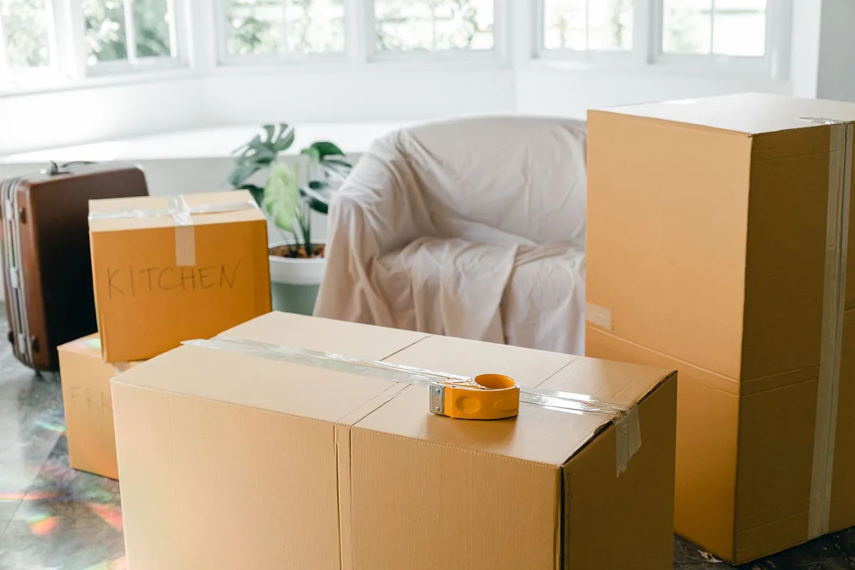 Hoarding Cleanup in Williamston, MI